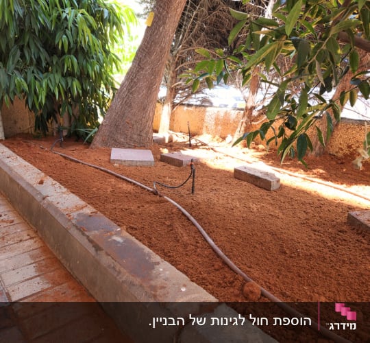 צינור השקיה בגינה עם עצים וקרקע חומה